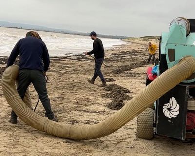 ‘Environmental catastrophe’ fears as millions of plastic beads wash up on Camber Sands