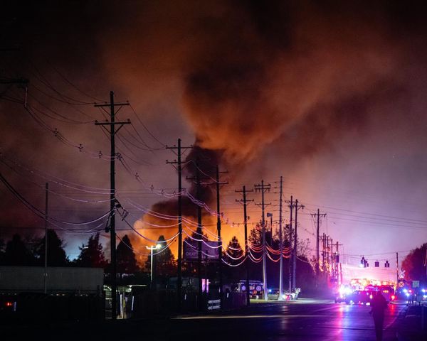 UPS and FedEx ground all MD-11 planes after deadly Louisville crash