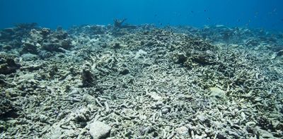 Climate tipping points are close: scientists urge radical action before it’s too late