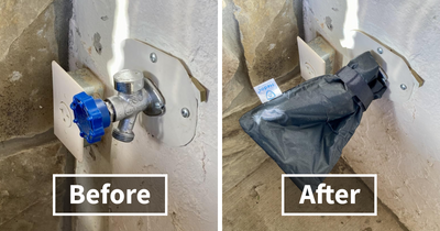 Your Future Self Will Worship You If You Do These 17 Garden Chores This Fall