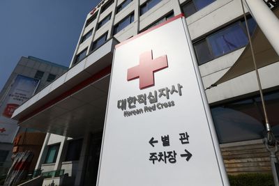 South Korea’s Red Cross chief resigns over ‘racist remarks’ as president orders probe