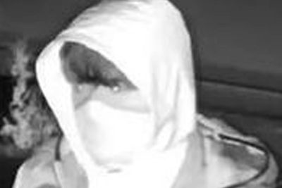 Girl, 4, in critical condition after being hit by firework