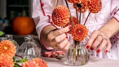 Petals & Roots: This Modern Way of Styling Bud Vases Will Transform Your Thanksgiving Table in Minutes