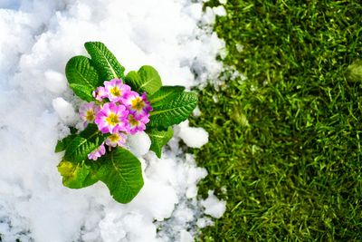 The Lawn Mistake Everyone Makes Right Before Winter