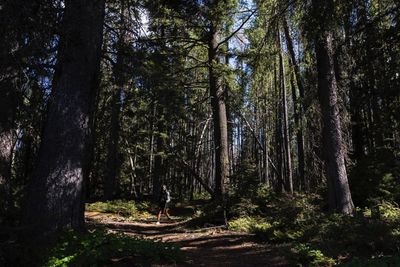 She left her desk job and walked 3,541 miles from Mexico to Canada: ‘Give yourself permission’