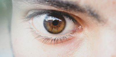 New global research shows eye movements reveal how native languages shape reading