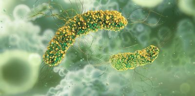 How scientists are hacking bacteria to treat cancer, self-destruct, then vanish without a trace