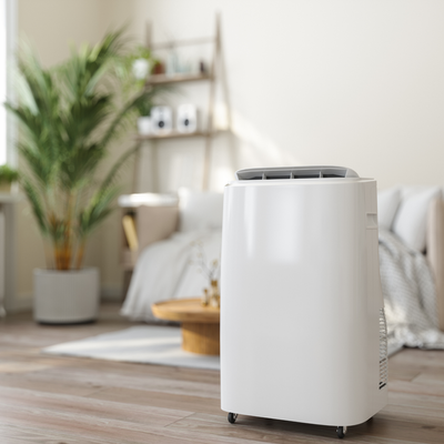 Cleaning experts reveal 6 cleaning jobs you should never use dehumidifier water for – it will do way more harm than good