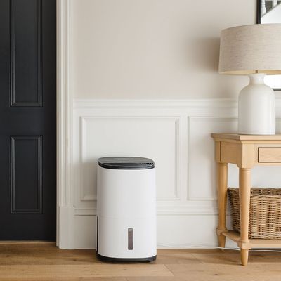 How many dehumidifiers do I need to beat damp and condensation? I asked the experts what the perfect dehumidifier setup is for every type of home