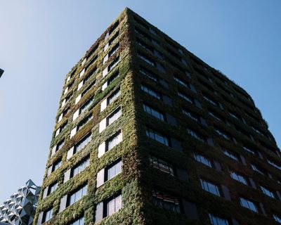 Growth in global demand for ‘green’ office buildings slows amid Trump policies