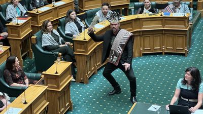 Maori Party chaos: two MPs expelled after vote