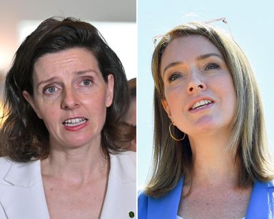 Two female MPs report death and rape threats after condemning neo-Nazi rally outside NSW parliament