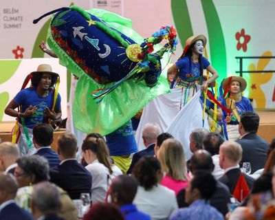 From net zero to NDCs: your comprehensive Cop30 jargon buster