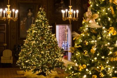 TikTok Ralph Lauren Christimas Theme 2025: Tips On How To Achieve This Holiday Decor Described As 'Too Grandma' By Some