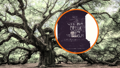 ‘Who put Bella in the witch elm’: A woman’s skeleton is found stuffed inside a tree, then terrifying graffiti appears