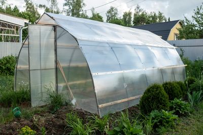 Greenhouse Secrets: How to Turn a Drafty Shed Into a Cozy Plant Haven