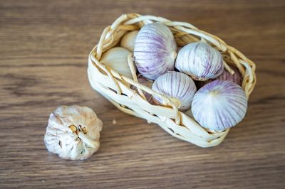 The Garlic Planting Trick Most Gardeners Don’t Know