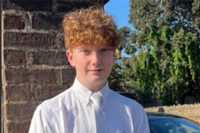 Teenager jailed for life over Primrose Hill murder of 16-year-old schoolboy Harry Pitman