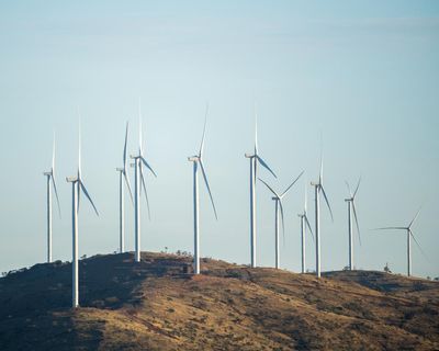 Howard urges Ley to ‘get together’ with PM on four-year federal parliamentary terms – as it happened