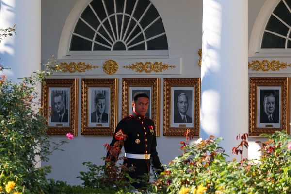 MAGA lawyer pardoned by Trump slams president’s tacky gold White House additions: ‘I personally hate this’