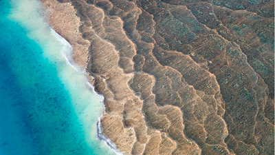 Breakup of ancient supercontinent Nuna created 'incubators' for complex life, study finds