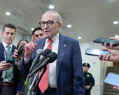 Angry Democrats call on Schumer to resign after eight vote to end shutdown