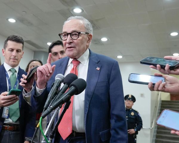 Angry Democrats call on Schumer to resign after eight vote to end shutdown