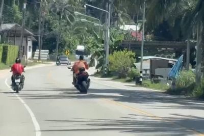 German arrested for reckless driving found to be wanted criminal