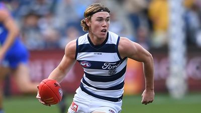 '100 per cent innocent': AFL star cleared on rape claim