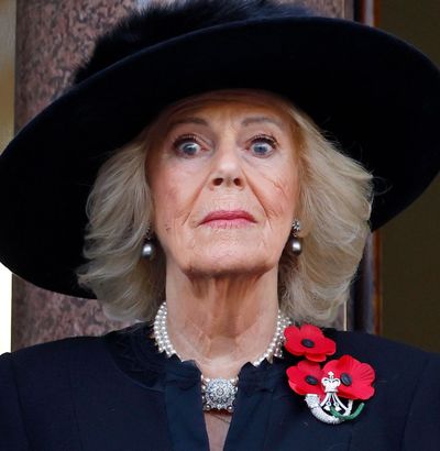 Thieves Once Ran Off With Queen Camilla's Jewels and Buckingham Palace "Buried" the Incident "To Avoid Embarrassment"