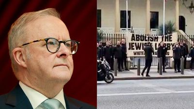 Albanese Backs NSW Calls To Ban Face Masks At Protests Following Neo-Nazi Rally