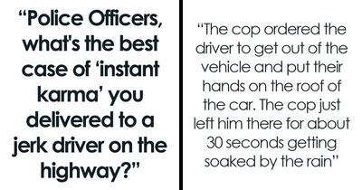 41 Times Cops Were At The Right Place At The Right Time To Serve Instant Karma