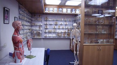 Apology for body parts being kept without consent