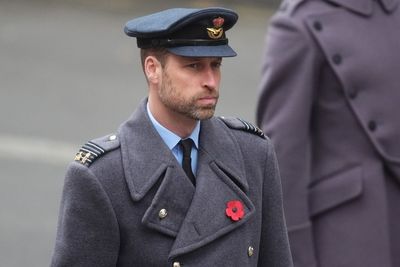 Prince William says wearing a red poppy is a gesture of thanks to fallen soldiers