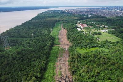 'A big scandal': Outrage over Brazil cutting down 100,000 Amazon rainforest trees to build road for Cop30