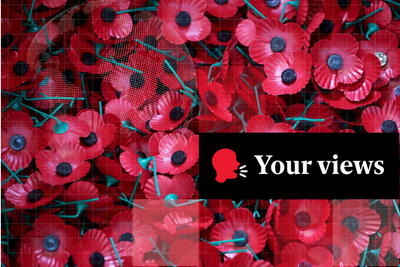 Voices: ‘The cult of the poppy’: Why many Independent readers skip the Remembrance Day symbol