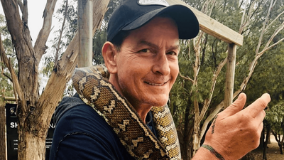 Charlie Sheen's Prenup Scandal: Why He's Demanding Legal Shields After 'Pricey' Splits