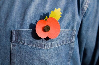 Arguing about whether or not to wear a poppy misses the most crucial point