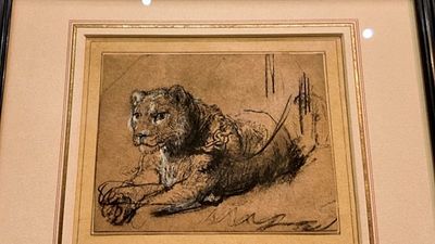Rembrandt’s rare 400-year-old lion drawing goes up for auction