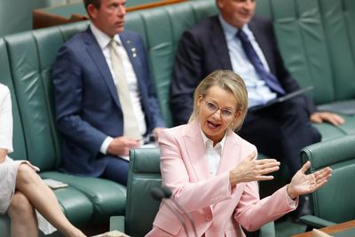 The spectacular nonsense of the Coalition’s internal brawl over the 2050 net zero emissions target