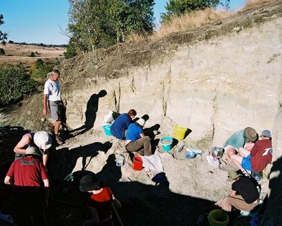 55m-year-old eggshells unearthed in Queensland may be older relative of infamous ‘drop crocs’