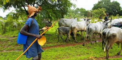 How Nigeria’s grazing law also shapes land divisions and violence