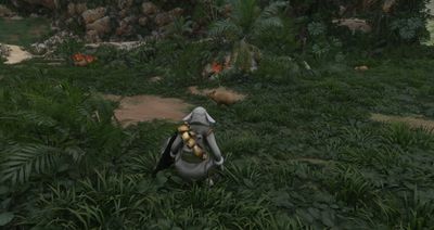 How to get a capybara in Enshrouded Wake of the Water update