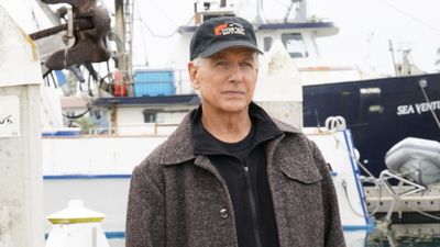 ‘People Don’t Remember This’: Mark Harmon Recalls How NCIS Struggled Early On