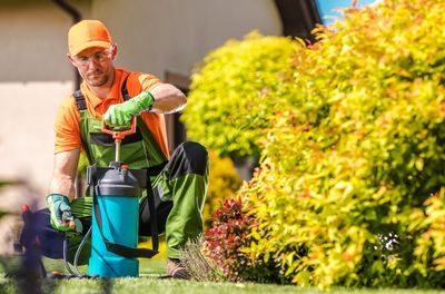 Why Stopping Lawn Care Too Early Could Invite Pests and Fungus