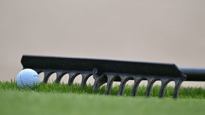 My Ball Just Came To Rest Against A Rake. What Do I Do?