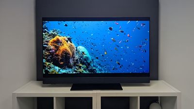 Panasonic Z90B vs LG C5: which 48-inch OLED TV should you buy?