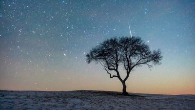This week's Leonid meteor shower could be one of the best in years. Here's why.