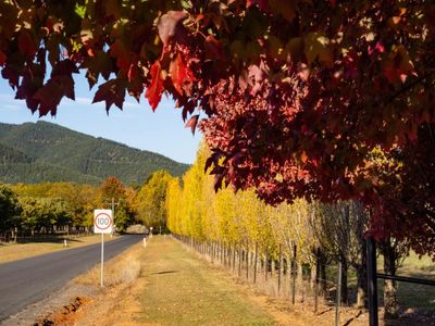 Pushback over proposal to lower speed limits on Australia’s country roads to between 70 and 90km/h