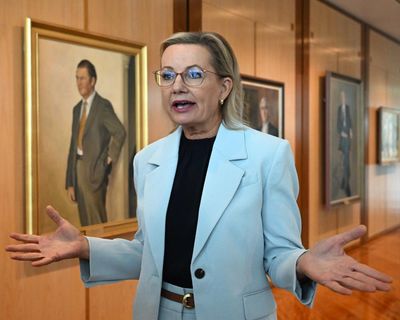 The Liberal party’s betrayal of younger voters on net zero isn’t just a moral failure – it’s electoral stupidity